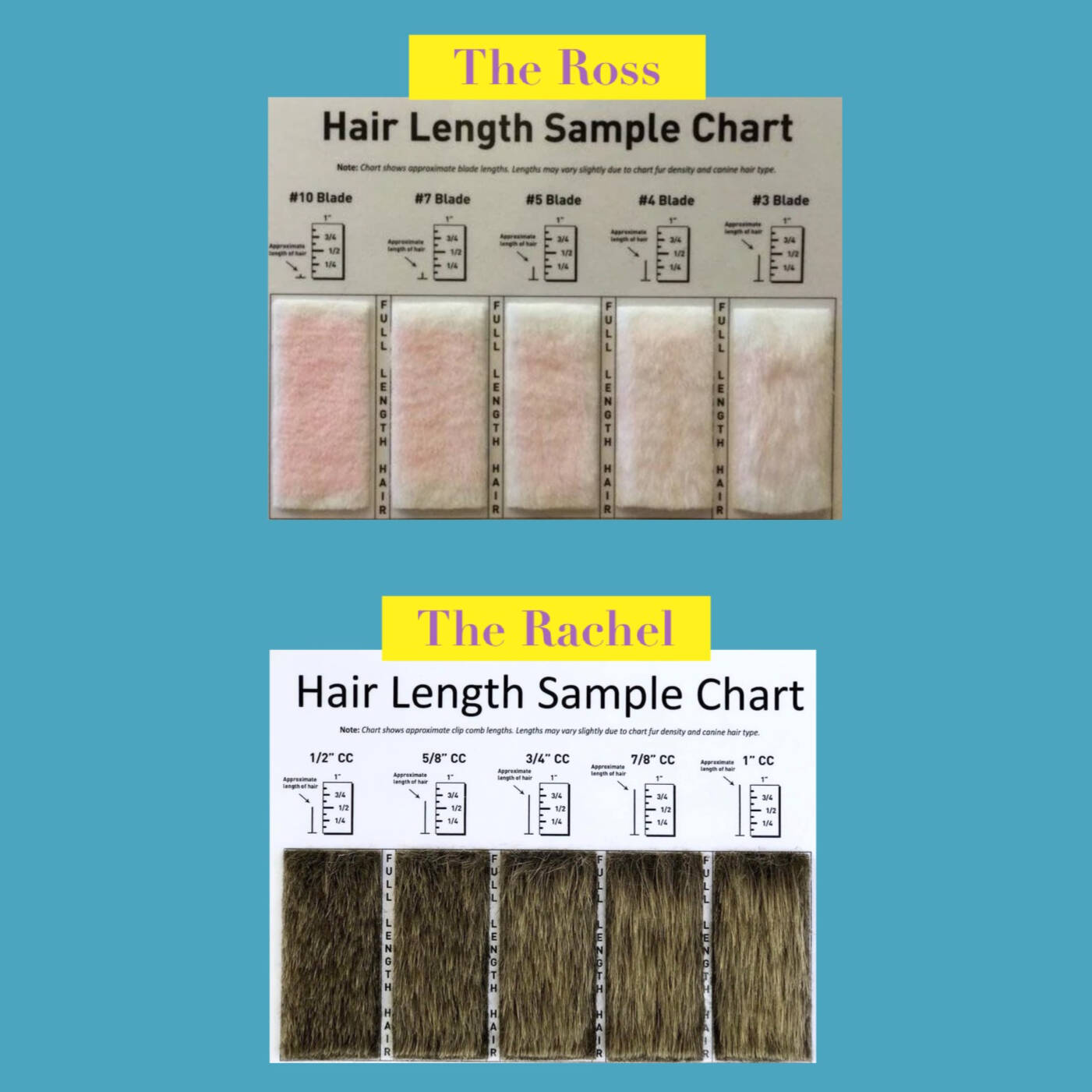Dog Grooming Hair Length Chart: Ultimate Guide to Styles